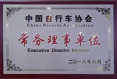 中国自行车协会常务理事单位